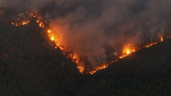 Sakarya ve Bilecik’te orman yangını! Alevlerle mücadele ikinci gününde